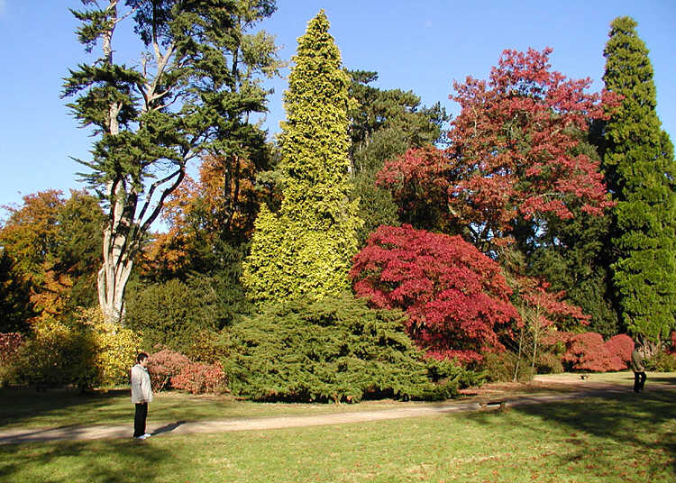 Soubor:Arboretum.westonbirt.750pix.jpg