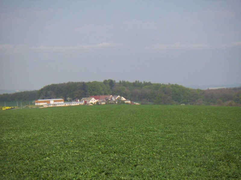 Soubor:Nedosinsky haj.jpg