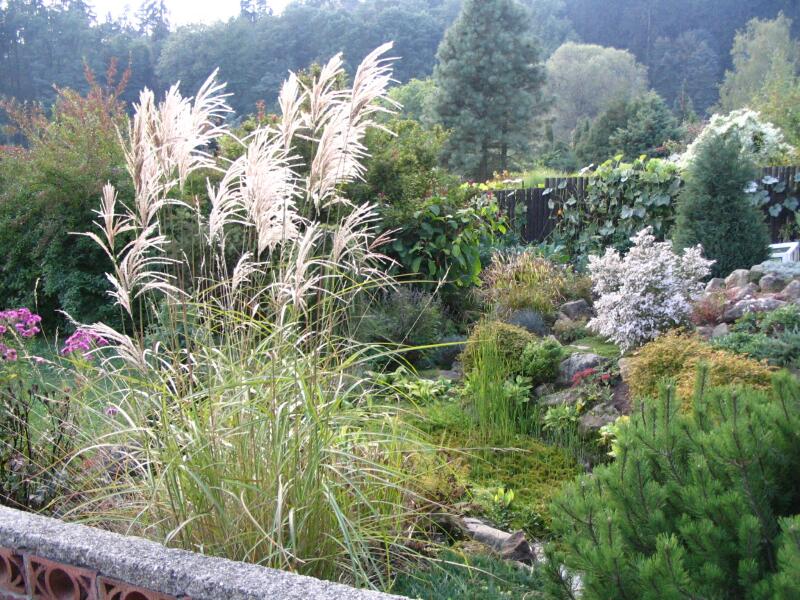 Soubor:Arboretum Borotín.jpg