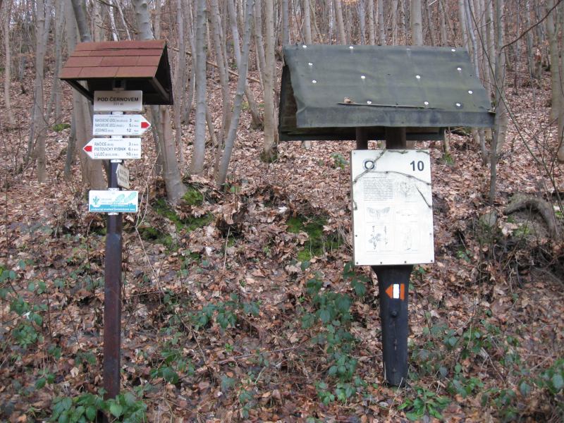 Soubor:Rakovecké údolí 14.jpg