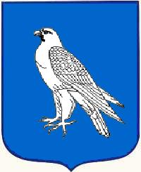 Soubor:Iceland falcon-light.jpg