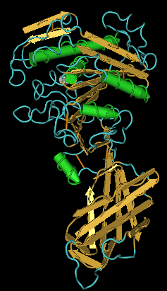 Soubor:Lipase PLRP2.png