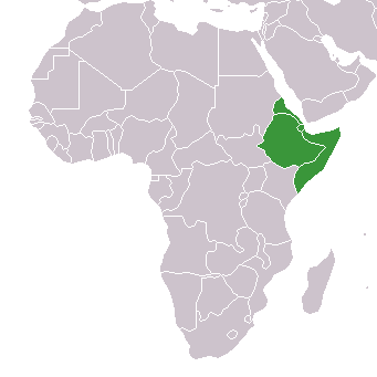 Soubor:Africa-countries-horn.png