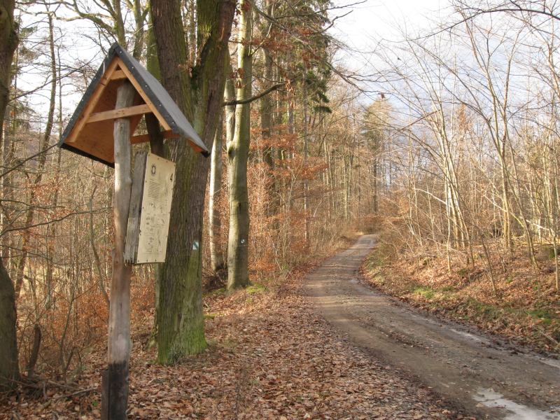 Soubor:Rakovecké údolí 11.jpg