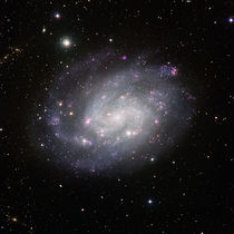 View of the southern spiral NGC 300.jpg
