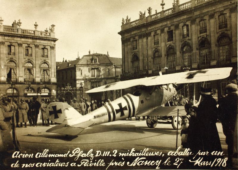 Soubor:Pfalz, D III-SDASM1-Flickr.jpg