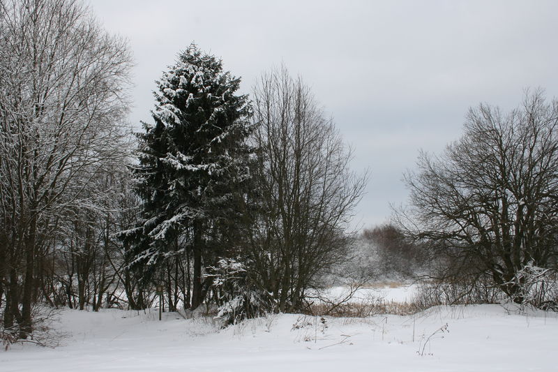 Soubor:Skalák u Senotína (1).JPG