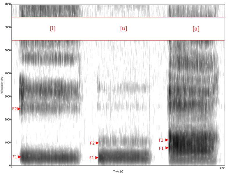 Soubor:Spectrogram -iua-.png