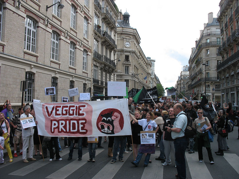 Soubor:Veggie Pride 2008 02.jpg