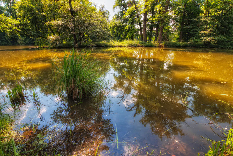 Soubor:Golden Lake-theodevil.jpg