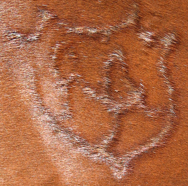 Soubor:AA Brand 0001.jpg