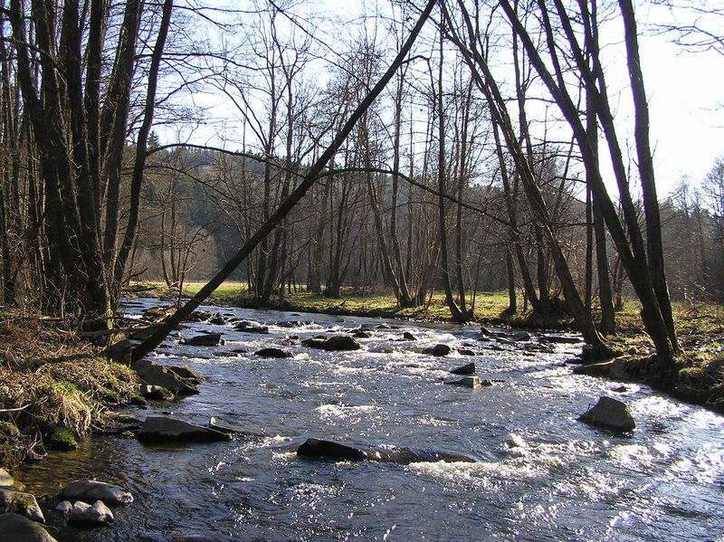 Soubor:Spulka (1).JPG