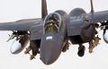 RAF F-15E Strike Eagle Iraq 2004.jpg