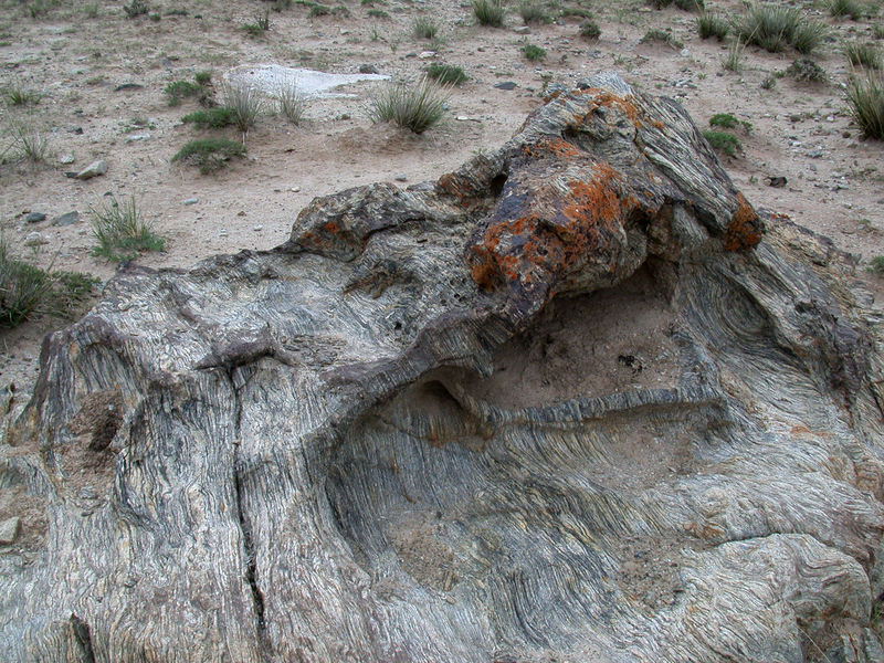 Soubor:Wind erosion.jpg