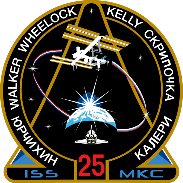 Soubor:ISS Expedition 25 Patch.png