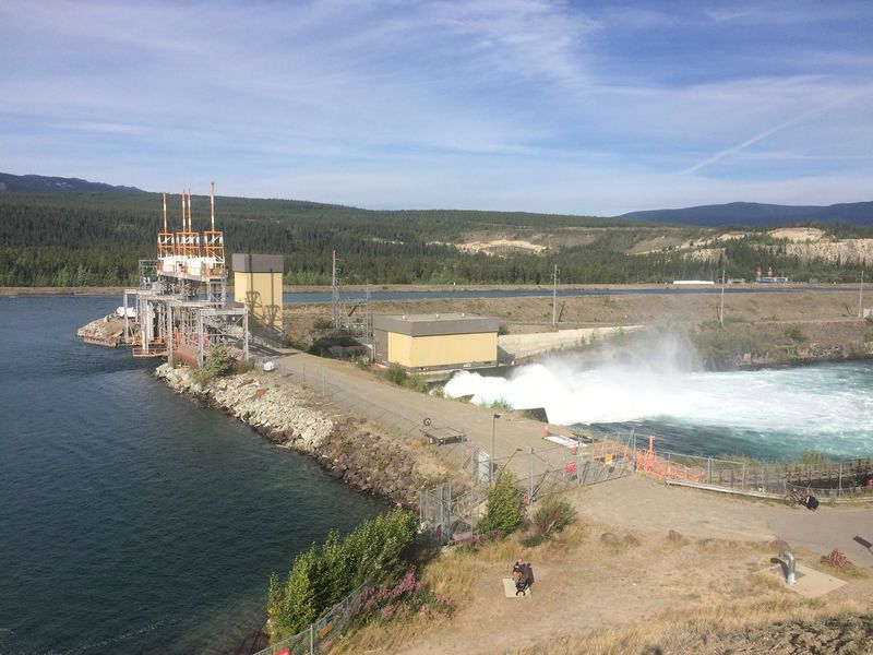 Soubor:Whitehorse 4665.jpg